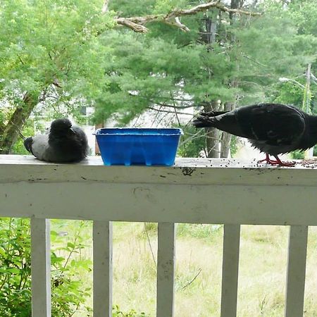 Kountry Living Bed And Breakfast 오네온타 외부 사진