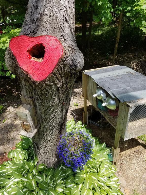 Kountry Living Bed And Breakfast 오네온타 외부 사진