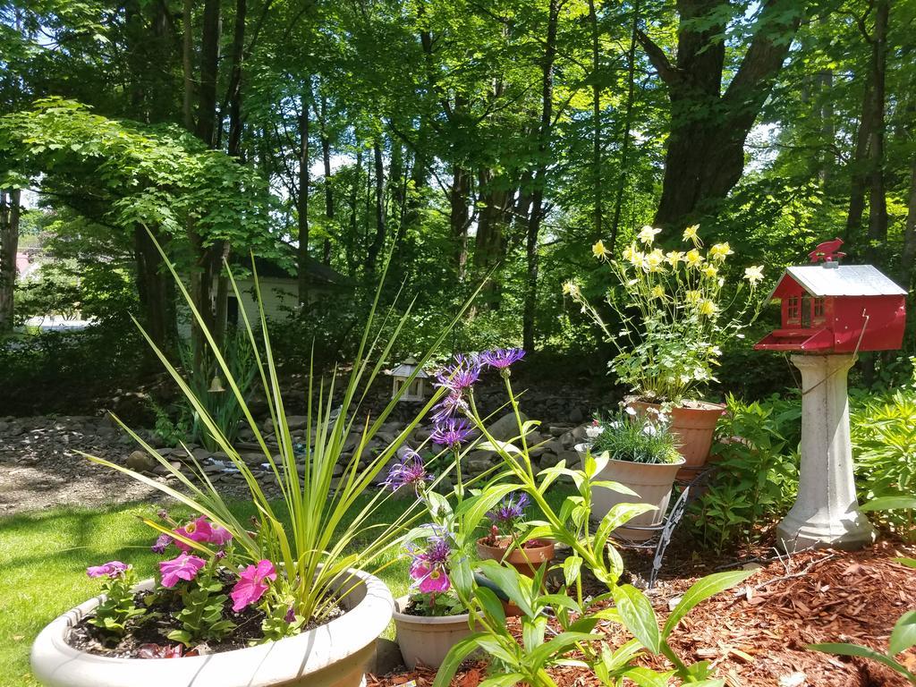 Kountry Living Bed And Breakfast 오네온타 외부 사진